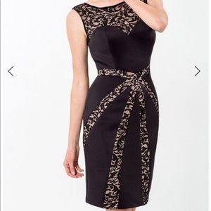 TERANI COCKTAIL 1523C1102